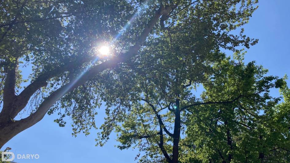 Dam olish kunlari O‘zbekistonda 35 darajagacha issiq bo‘lishi kutilmoqda